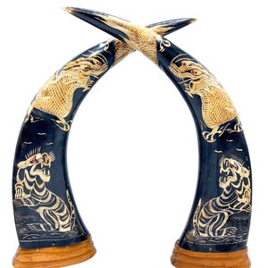 Asían carved horn with dragon and lion with eyes, mystical