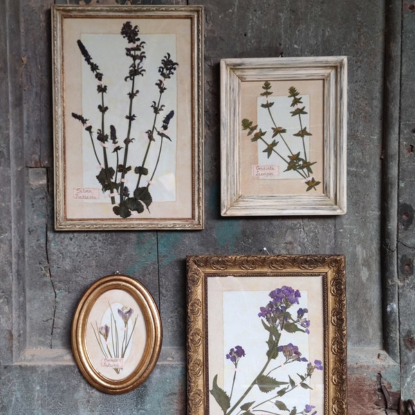 Set of 4 paintings with dried flowers - Furnishing accessories - Home and furnishings
