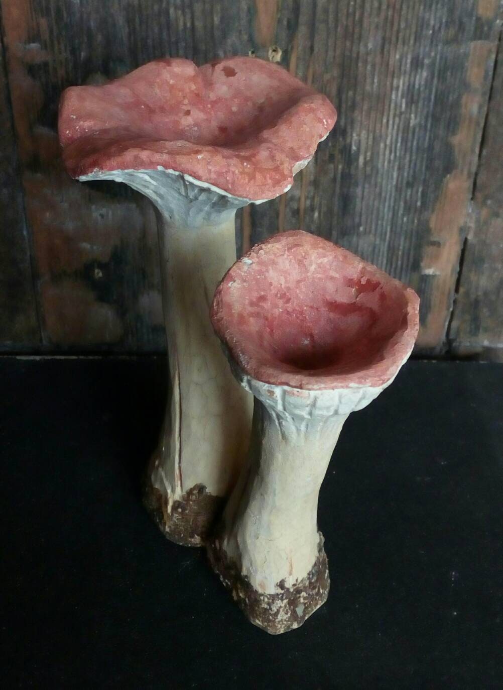 9 x 5,5 cm appuntito Fungo in legno 