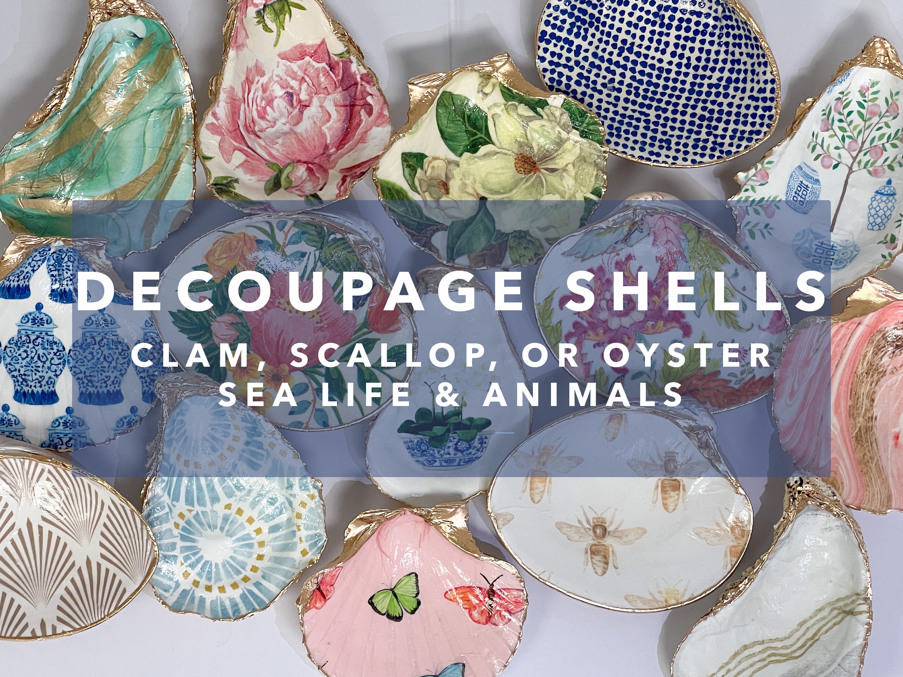 Decoupage Shells Clam, Scallop, or Oyster Sea life & Animals