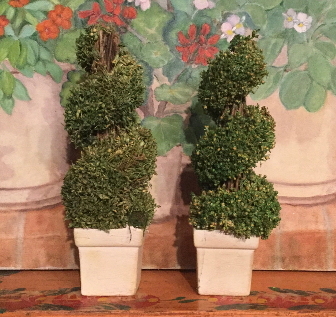 Mini Faux Topiary Trees Pair Christmas Tree Green Spiral Twig Etsy