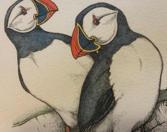 Lucius DuBose Etching-Puffin Bird-Hand Colored-Limited Edition 183/300-Framed/Vintage 1980s