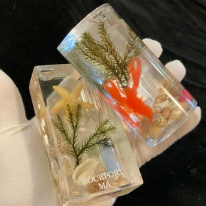 May include: Two clear glass paperweights with a nautical theme. One paperweight features a red lobster, seashells, and seaweed. The other paperweight features a starfish, seashells, and seaweed. The bottom of the paperweight reads "Rockport MA".