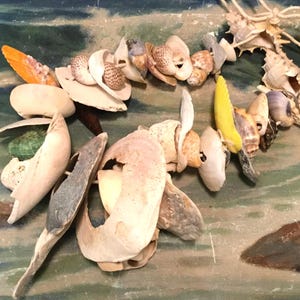 May include: A necklace made of various seashells in shades of white, beige, yellow, and gray. The shells are strung together with a natural-colored cord. The necklace is displayed on a painted surface with ocean-themed colors.