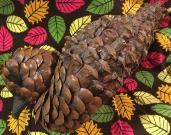 Pinecone Animal - Etsy Pinecone Animal - Etsy
