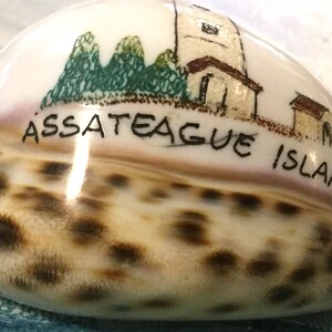 Maryland Souvenir/Assateague Island/Carved Cowrie Shell Art/Hand-Painted Seashell/Lighthouse/Virginia State Park Memorabilia/Vintage image 1