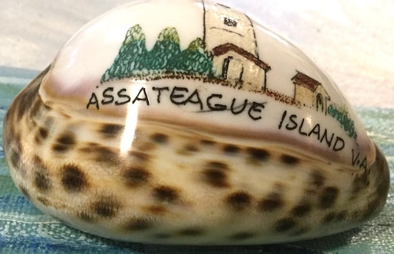 Maryland Souvenir/Assateague Island/Carved Cowrie Shell Art/Hand-Painted Seashell/Lighthouse/Virginia State Park Memorabilia/Vintage