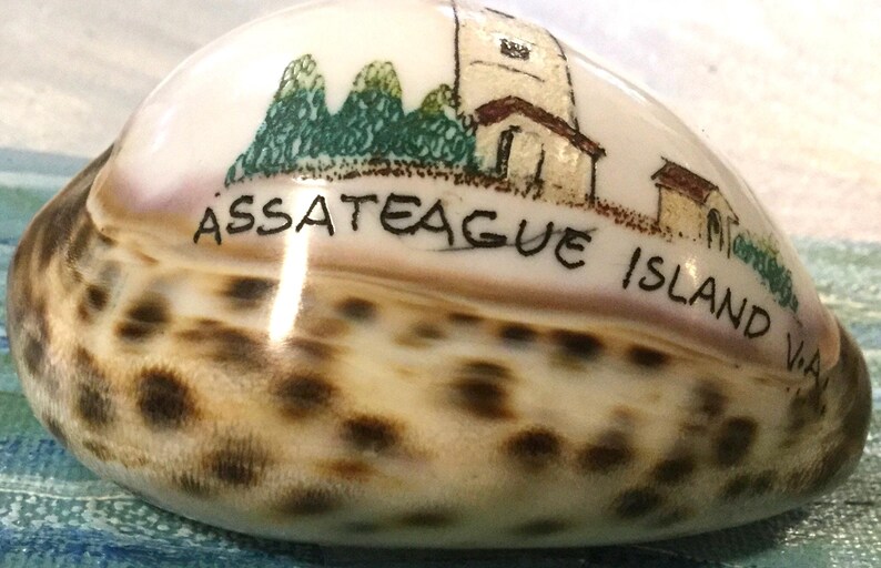 Maryland Souvenir/Assateague Island/Carved Cowrie Shell Art/Hand-Painted Seashell/Lighthouse/Virginia State Park Memorabilia/Vintage image 1
