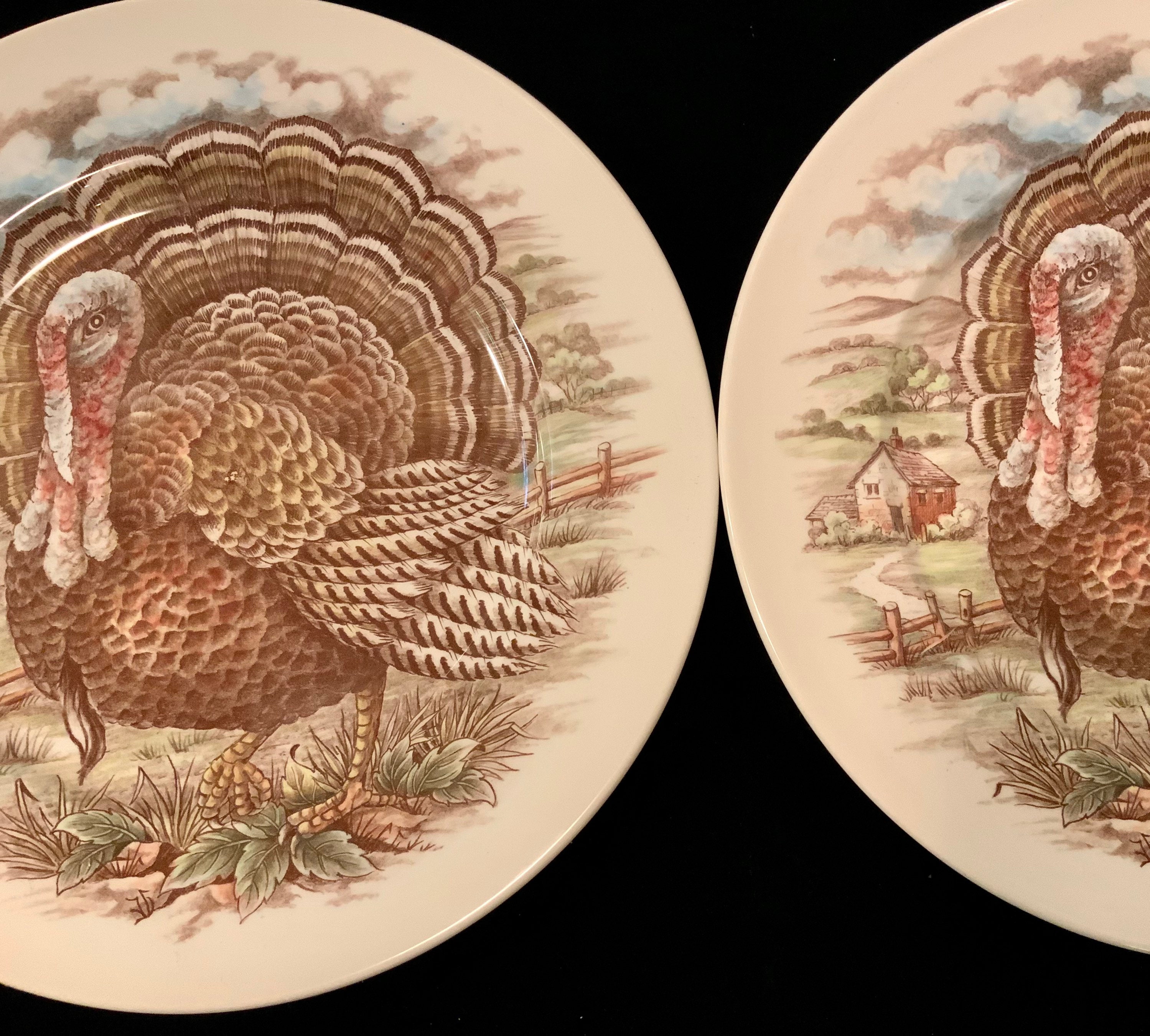 Royal Stafford Set Of 6 Thanksgiving TURKEY Apple Border Dinner Plates  11" NEW