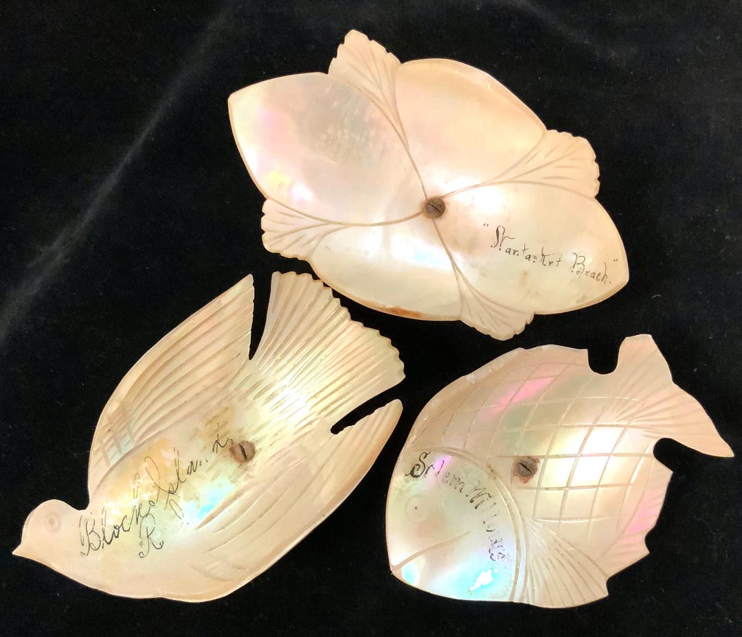 Shell Cellars Shell Salt Cellars Set/ne Souvenir/carved MOP Seashell/nantasket Beach ...