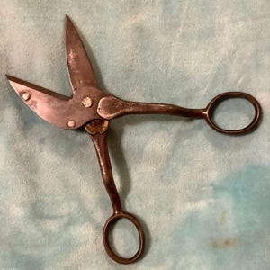 May include: Antique metal shears with a long, curved handle and a single, round hole at the end. The shears have a rusty brown finish and are in good condition.