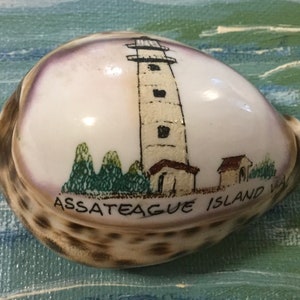 Maryland Souvenir/Assateague Island/Carved Cowrie Shell Art/Hand-Painted Seashell/Lighthouse/Virginia State Park Memorabilia/Vintage image 3