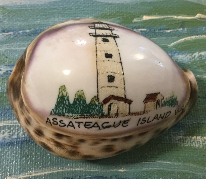 Maryland Souvenir/Assateague Island/Carved Cowrie Shell Art/Hand-Painted Seashell/Lighthouse/Virginia State Park Memorabilia/Vintage image 3