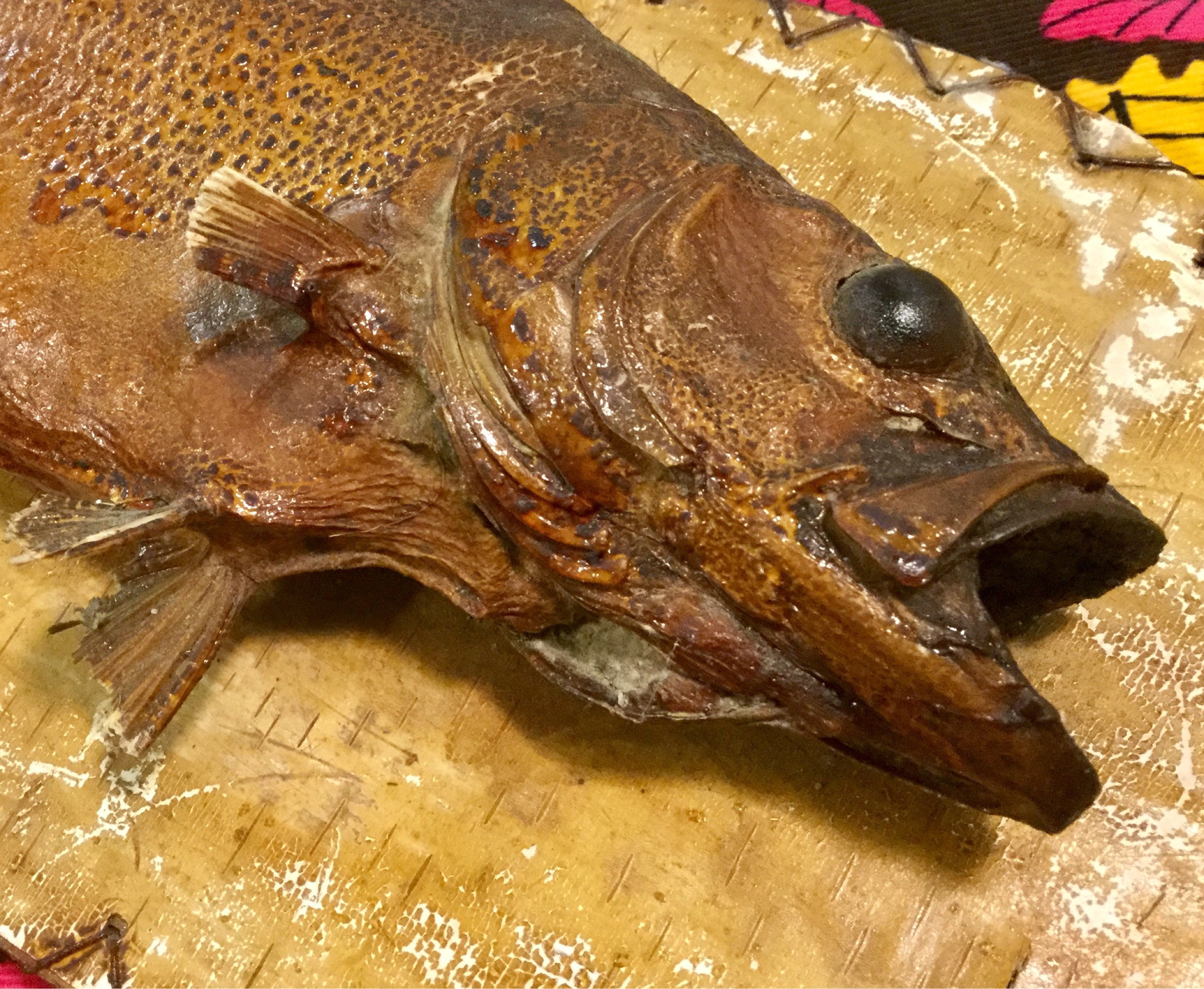 Taxidermy Fish Mount Plaque/trout/birchbark Wood Folk Art/fishing
