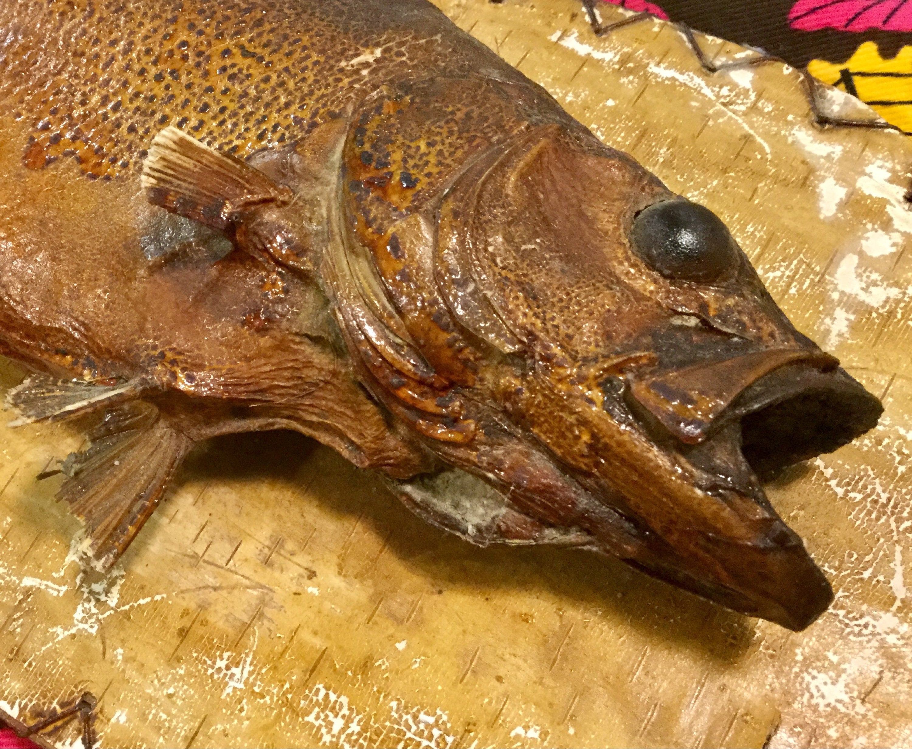 1940 Taxidermy Fish Plaque Wood Brown Trout Folk Art Wall Etsy