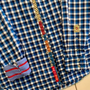 Robert Graham X Shirt/Button Up/Blue Check/Paisley Trim/Long Sleeve/Cotton/Mens Size XL/TG (chest 48”/Vintage