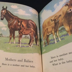 Child Basic Reader Book “Science All About Us” by Gerald Craig/Agnes Burke Pub. By Ginn & C0. Boston/Illustrated/Cloth Board/Vintage 1950s