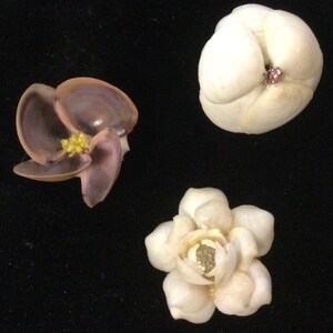 9pc Shell Flowers Handmade Small Seashell Flower Floral DIY - Etsy