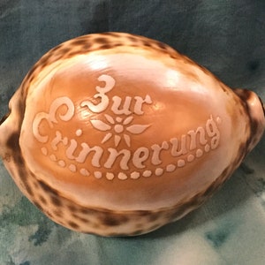 May include: A brown seashell with a white inscription that reads "Zur Erinnerung".