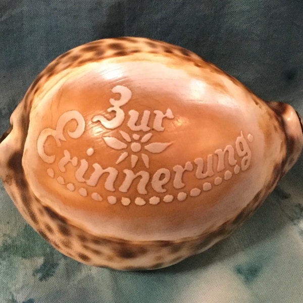 Shell Box or Ashtray?/Carved Seashell/Cowry-Cowrie/Nautical Germany Souvenir “Zur Erinnerung” (In Memory) Tobacciana/Small/Handmade/Vintage