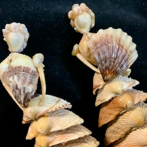 May include: Two seashell sculptures, each depicting a figure, are arranged against a black background. The figures are crafted from various seashells, with the main body of each figure composed of stacked, fan-shaped shells. The heads are made of smaller, rounded shells.