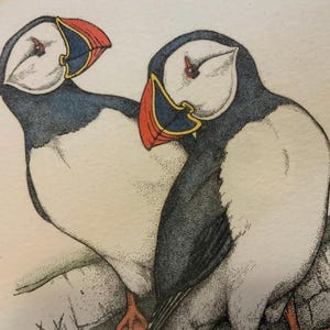 80s Lucius DuBose Etching-Puffin Bird-Hand Colored-Limited Edition 183/300-Framed/Vintage 1980s