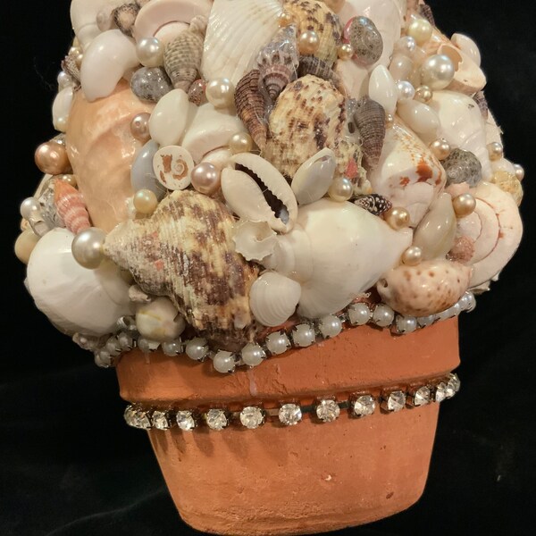 Seashell Christmas Tree Etsy