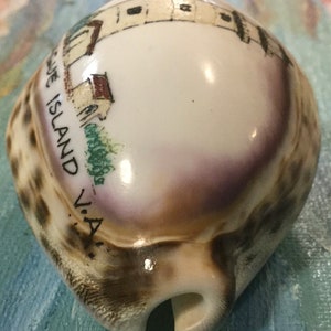 Maryland Souvenir/Assateague Island/Carved Cowrie Shell Art/Hand-Painted Seashell/Lighthouse/Virginia State Park Memorabilia/Vintage image 4