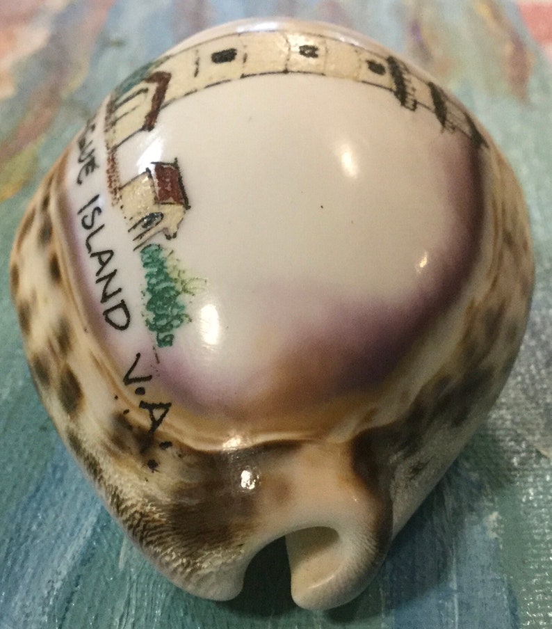 Maryland Souvenir/Assateague Island/Carved Cowrie Shell Art/Hand-Painted Seashell/Lighthouse/Virginia State Park Memorabilia/Vintage image 4