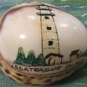 Maryland Souvenir/Assateague Island/Carved Cowrie Shell Art/Hand-Painted Seashell/Lighthouse/Virginia State Park Memorabilia/Vintage image 2