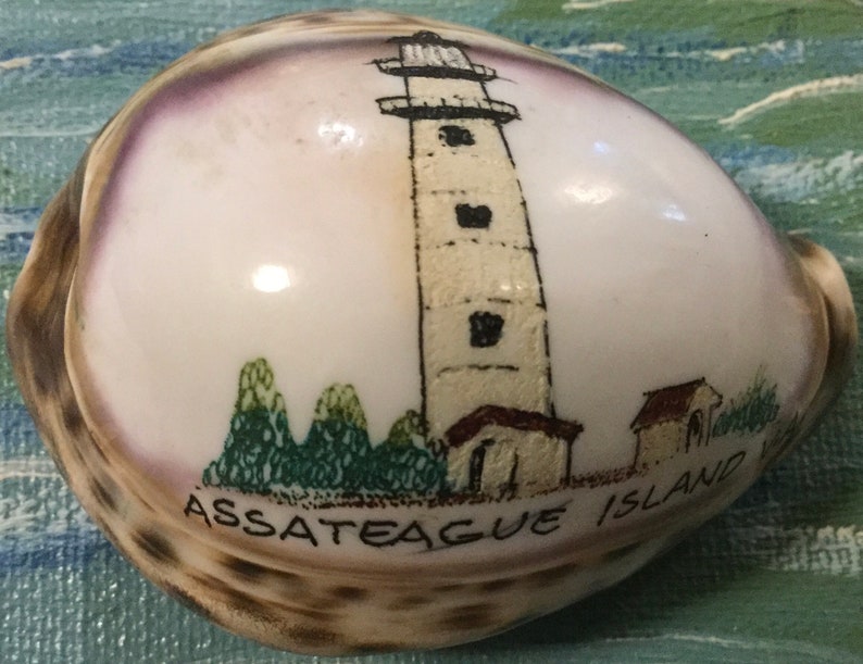 Maryland Souvenir/Assateague Island/Carved Cowrie Shell Art/Hand-Painted Seashell/Lighthouse/Virginia State Park Memorabilia/Vintage image 2