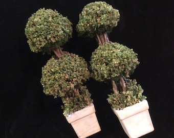 Mini Green Topiary Tree Pair/Faux Dried Evergreen & Twig/Floral Mantel Decor/Small-Miniature 10”H/2 Piece SET/Vintage 1990