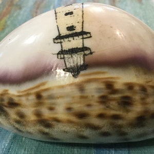 Maryland Souvenir/Assateague Island/Carved Cowrie Shell Art/Hand-Painted Seashell/Lighthouse/Virginia State Park Memorabilia/Vintage image 5