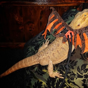 May include: A brown and orange lizard wearing a dragon costume with black and orange wings. The lizard is on a green and black patterned fabric.