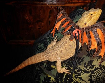 Bearded Dragon, iguana, ferret, rat, or any small animal winged harness and leash. lizard or reptile wings.