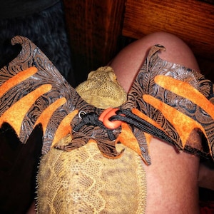May include: A brown and orange leather dragon wing costume for a reptile, with a black and orange patterned design.
