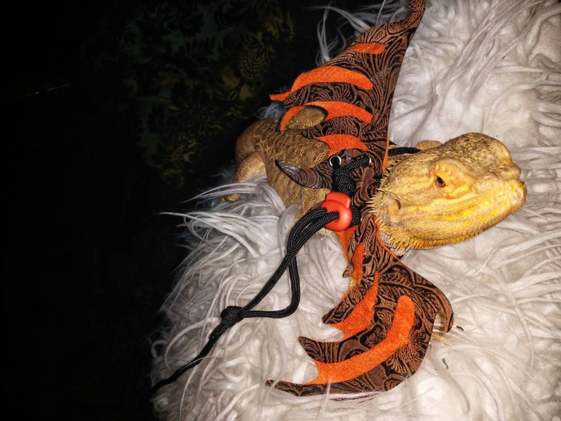 May include: A bearded dragon wearing a brown and orange dragon costume with black straps and a red clip. The dragon is sitting on a white fluffy surface.