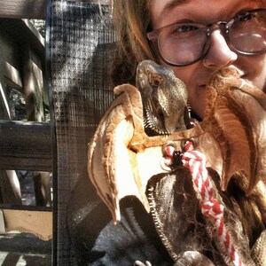 May include: A person with long brown hair is holding a brown and tan lizard with a harness and leash. The lizard is wearing a harness with a red and white striped leash. The person is wearing glasses and has a neutral expression.