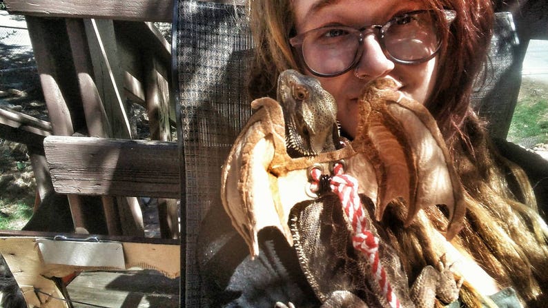 May include: A person with long brown hair is holding a brown and tan lizard with a harness and leash. The lizard is wearing a harness with a red and white striped leash. The person is wearing glasses and has a neutral expression.