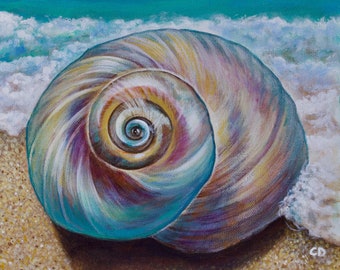 Seashell fine art print
