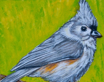Tufted Titmouse In Spring