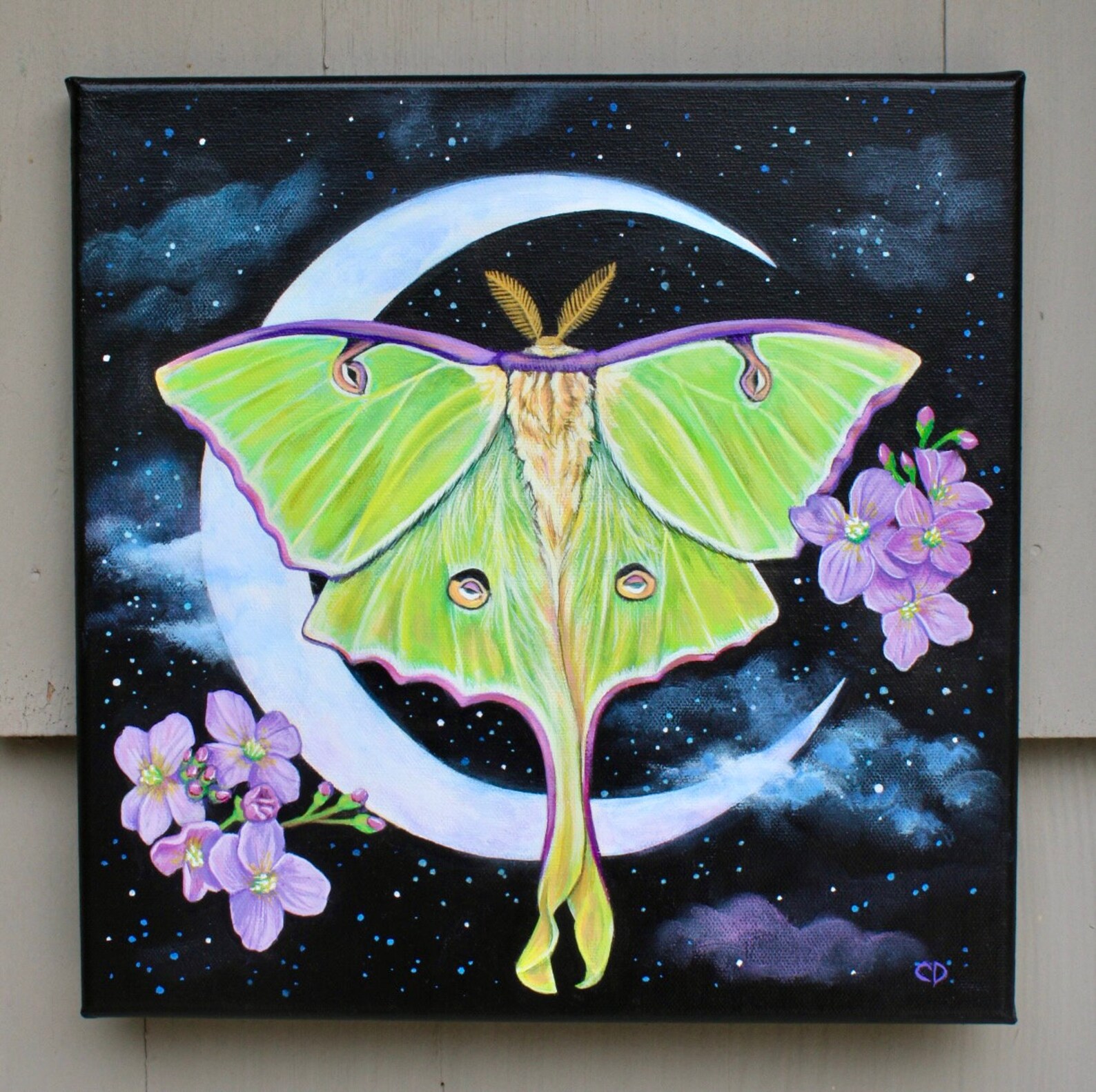 Luna Moth Original Painting - Etsy