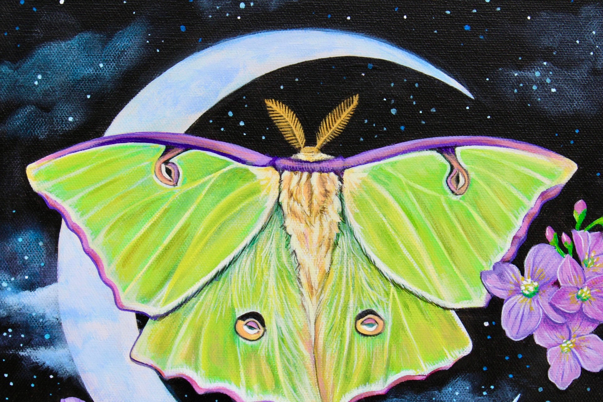 Luna Moth Original Painting - Etsy
