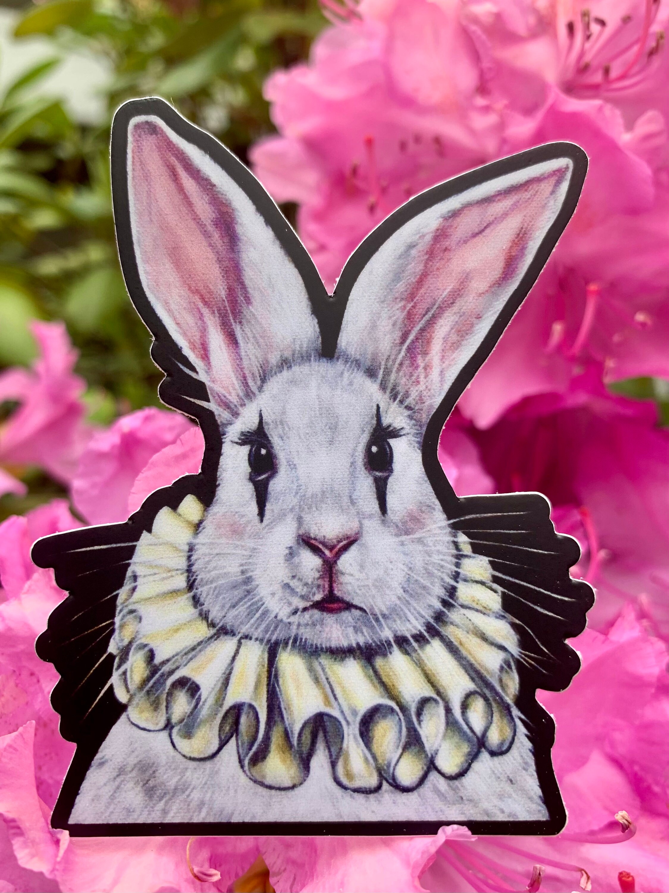 Buy Harlequin Rabbit Online In India India