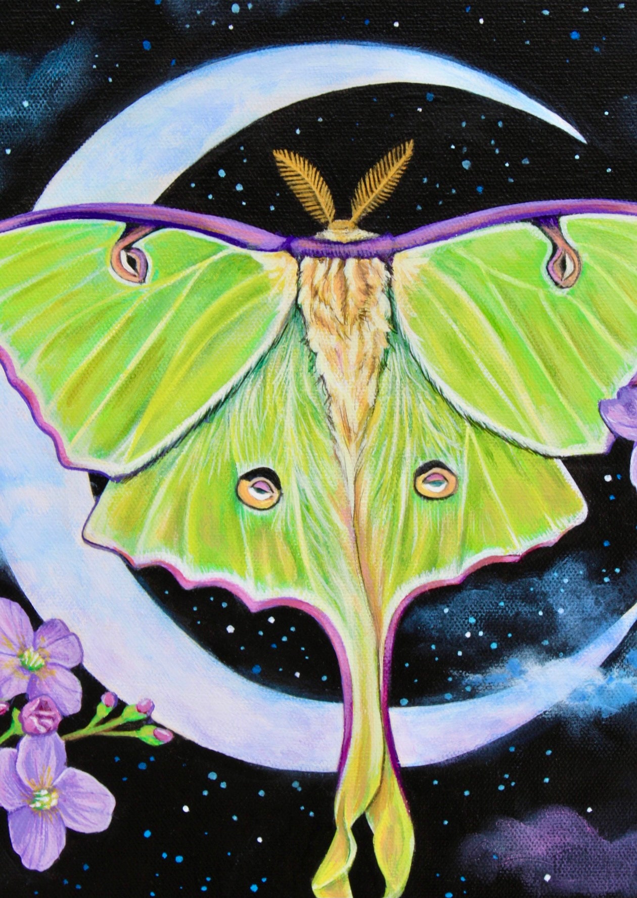 Luna Moth Original Painting - Etsy