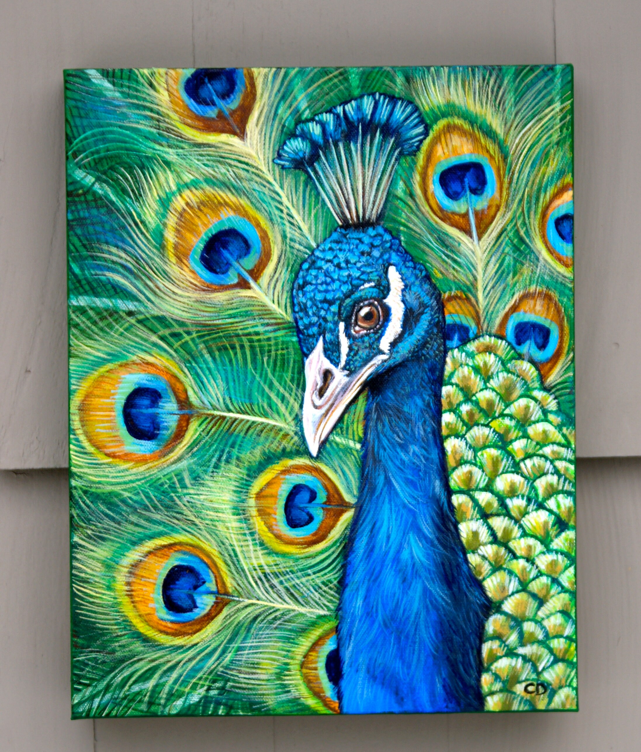 Original oil painting,Peacock painting,heavy texture,Framed