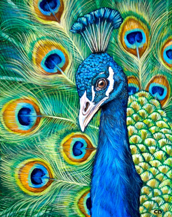Peacock Original Painting - Etsy