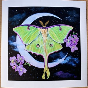Luna Moth fine art print
