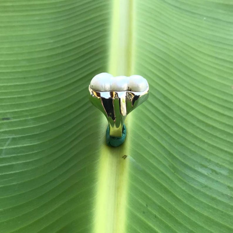 K&ouml;nnte beinhalten: Ein silberner Ring mit drei wei&szlig;en Perlen. Der Ring ist vor einem gr&uuml;nen Blatt platziert, wodurch das Design des Schmuckst&uuml;cks hervorgehoben wird. Der Ring hat ein poliertes Silberband, und die Perlen sind glatt und rund.