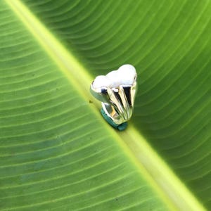 K&ouml;nnte beinhalten: Ein silberner Ring mit einer Ansammlung wei&szlig;er Steine, m&ouml;glicherweise Perlen, auf einem leuchtend gr&uuml;nen Blatt. Das Ringdesign weist ein strukturiertes Band und eine herzf&ouml;rmige Steinanordnung auf.